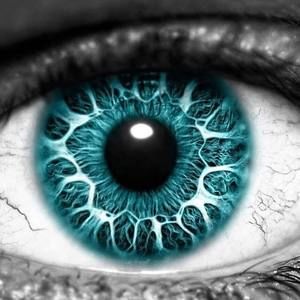 Meet your Posher, Richard